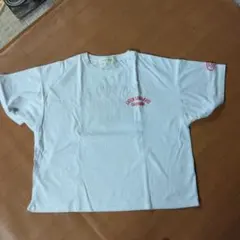 anap minpi Tシャツ　すべて刺繍のサムネイル