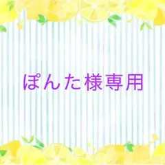 ぽんた様専用