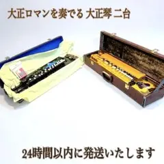 2026年最新】大正琴 白鷺の人気アイテム - メルカリ