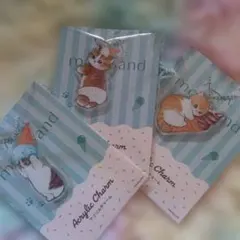 モフサンド　アクリルチャーム3種計3枚