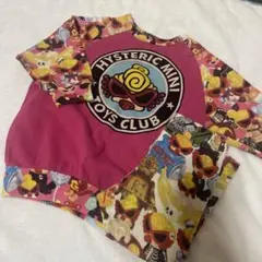 ヒスミニ セットアップ