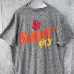 Superdry 極度乾燥(しなさい) バックプリント ポケットTシャツ XL