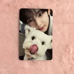 ZEROBASEONE ZB1 ゼベワン ユジン トレカ レオ 封入 デジパ