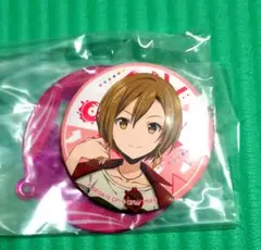 【セガ ラッキーくじ】MEIKO 缶バッジ