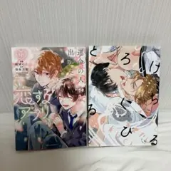 ともちゃん様 リクエスト 2点 まとめ商品