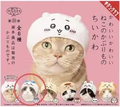 かわいい かわいい ねこのかぶりもの　ちいかわ