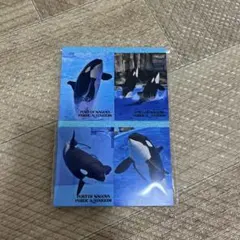 Item thumbnail for item 94b500fd-d509-48eb-8576-41f2e9a4c860