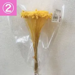 【新品】②スターフラワー　ブロッサム 1束　イエロー