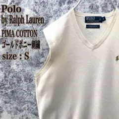 IS239【希少カラー】ポロバイラルフローレン刺繍ピマコットン薄手Vネックベスト