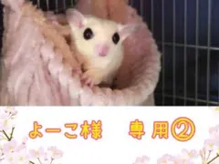 モモンガポーチ　よーこ様専用②