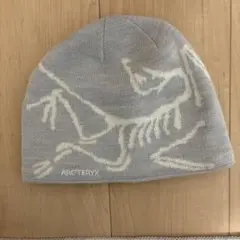 ARC'TERYX スケルトンデザイン グレー ニット帽 - メルカリ