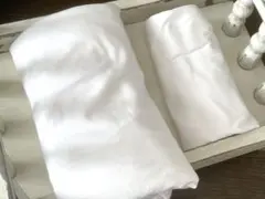 Item thumbnail for item 8907f31e-def4-402d-9274-3d3380e2c6c0