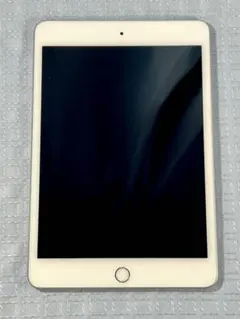 iPad mini 第5世代 64GB Wi-Fi + Cellular本体