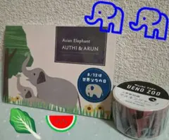 上野動物園 マスキングテープ