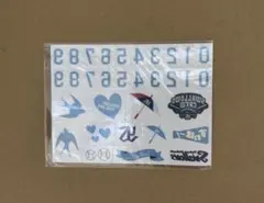 東京ヤクルトスワローズ ペイントシール ボディシール