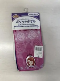 ディズニープリンセス タオル