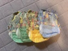 Item thumbnail for item 66901af0-330f-4256-812a-8782a2b8ff1b