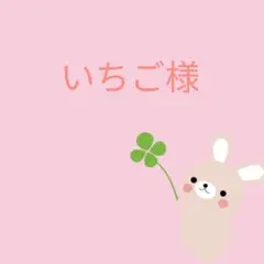 いちご様 ファンサうちわ うちわ文字 コンサート 団扇 カンペ ライブ