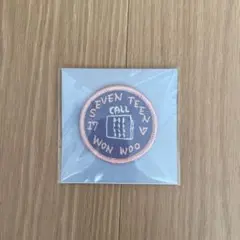 【ウォヌ CARAT SUMMER CAMP】ワッペン