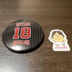オリックス・バファローズ 宮城大弥投手 2点セット
