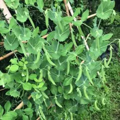 57文字様 リクエスト 3点 まとめ商品