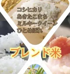数量限定！特別ブレンド米　30kg！のサムネイル
