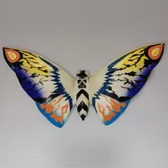 Item thumbnail for item 8e2d736a-a8f0-4e1e-ba2d-68e805ac2901