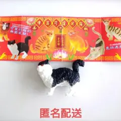 キタンクラブ 中国可愛的猫 ハチワレ カプセルトイ フィギュア