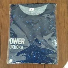 Item thumbnail for item c995a227-91b3-4a99-811e-54e6face1899