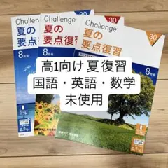 ジャックJAC 成蹊小学校 年長夏期講習後期 夏総復習宿題ペーパー24枚全て＋α ジャックJAC 成蹊小学校 年長夏期講習後期 夏総復習宿題ペーパー24枚