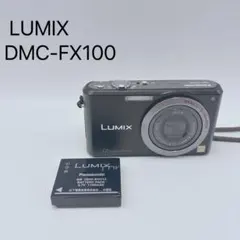 2026年最新】LUMIX DMC-FX100の人気アイテム - メルカリ