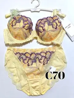 トリンプ レッドレーベル C70 ブラジャー&ショーツセット TR0105