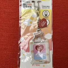 Care Bears 韓国　ダイソー　証明写真ケース　ケアベア　トレカホルダー