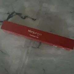 リップ 口紅