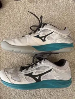 テニスシューズ ミズノ