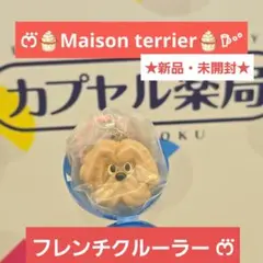 新品★ Maison terrier カラフルマルチチャーム フレンチクルーラー