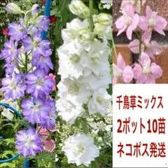 Masaji様 リクエスト 3点 まとめ商品