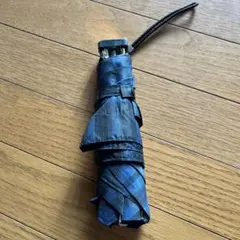 Item thumbnail for item ae9e0f79-cb6a-4135-bc7c-576cd889aafa