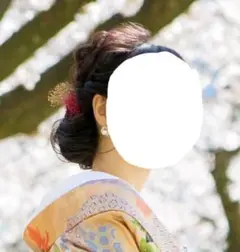 前撮り・結婚式小物に★ヘアアクセ　かすみ草(ゴールド・レッド)ピン5つセット