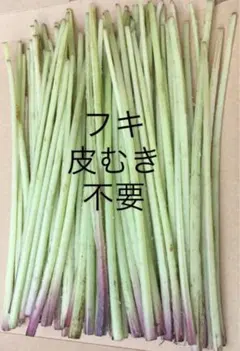 たこ焼き様専用‼️ふき　皮むき不要　フキ　天然 採れたて