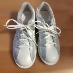 Item thumbnail for item 32526dd7-9cf4-4557-8153-47fee9c2d241