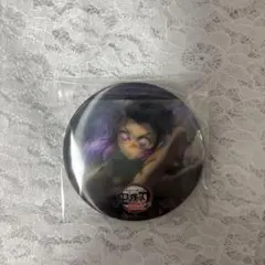 鬼滅の刃 蟲の呼吸アクションアニメーション缶バッジ E 胡蝶しのぶ