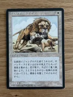 MTG サバンナ・ライオン Savannah Lions 日本語版 第4版黒枠 - メルカリ
