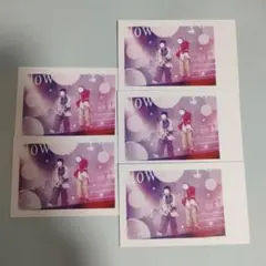 いれいす　実写ランダムチェキ風カード　りうしょー　５枚セット