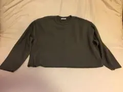 新品未使用　ZARAカットソー