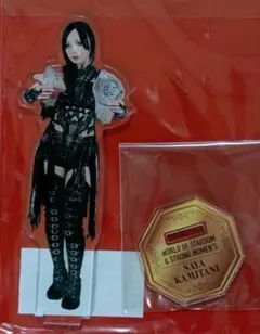 Item thumbnail for item 5b721152-3404-44f3-85a4-3237ccb325c8