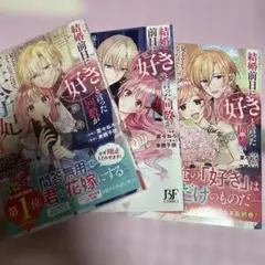 結婚前日に「好き」と言った回数が見えるようになったので、王太子妃にはなりません…