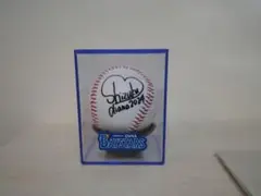 横浜DeNAベイスターズ Diana SARASA 直筆サイン 横浜DeNAベイスターズ Diana SARASA 直筆サイン