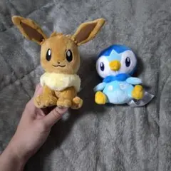ポケモンフィットぬいぐるみ2点セット【ポケモンセンター公式】