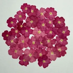 Item thumbnail for item e773a518-2553-4ea9-a4bb-4a360b034d1a